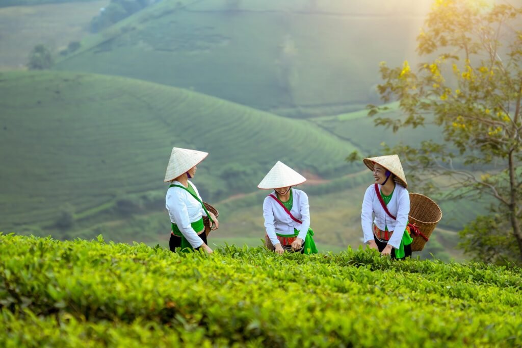 AI-Powered Food Security: Data-Driven Agriculture for SDG 2